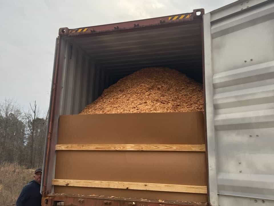 Pine wood chips loaded into a shipping container for ocean export